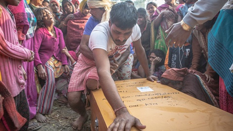 Foto&nbsp;Sebastian Castelier/Shutterstock.com