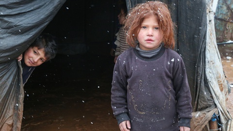 Foto&nbsp;Mohammad Bash/Shutterstock.com