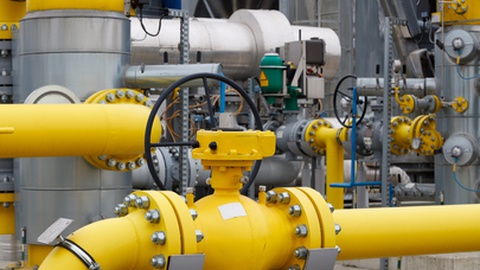 Foto&nbsp;MAXSHOT.PL/Shutterstock.com