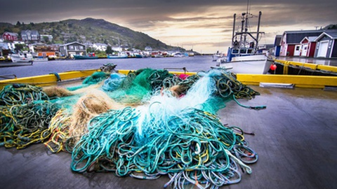 Foto&nbsp;Ramon Cliff / Shutterstock.com