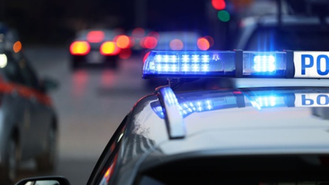 Foto&nbsp;DarSzach/Shutterstock.com