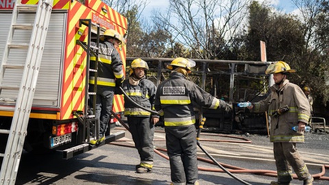 Foto&nbsp;andreonegin / Shutterstock.com