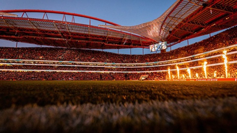 Foto&nbsp;Maciej Rogowski Photo / Shutterstock.com