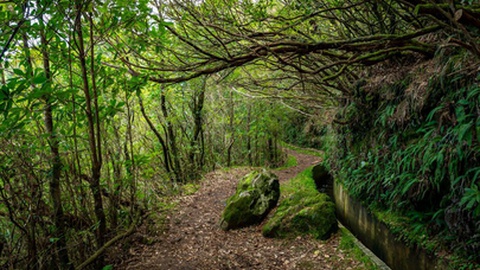 Intervenção será levada a cabo no dia 3 de Abril.