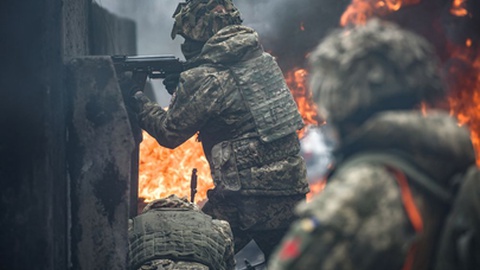 Foto&nbsp; Dmytro Larin / Shutterstock.com
