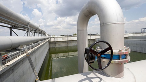 Foto&nbsp;Alexandra Pandrea / Shutterstock.com