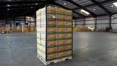 A droga vinha num cargueiro de um país da América Latina para a Europa.&nbsp; &nbsp;Foto ilustrativa / Ricardo Estrella / Shutterstock.com