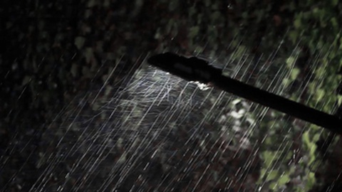 Foto ilustrativa/Shutterstock