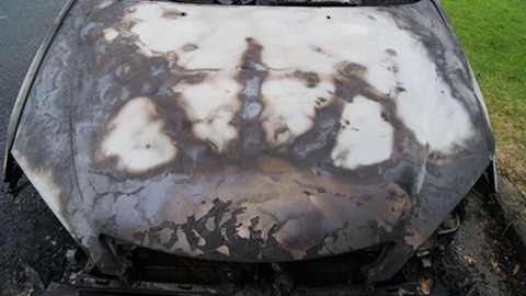 Foto ilustrativa/Shutterstock