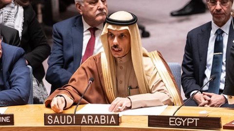 Foto&nbsp; lev radin / Shutterstock.com