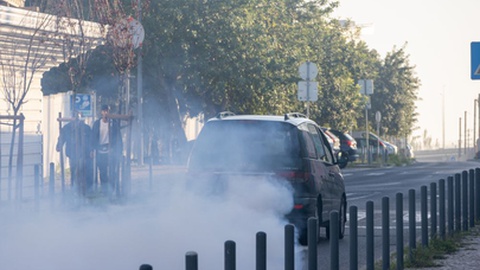 Foto&nbsp;odecam / Shutterstock.com