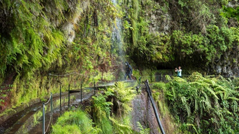 A Levada do Rei é um dos percursos classificados da Região Autónoma da Madeira.&nbsp;