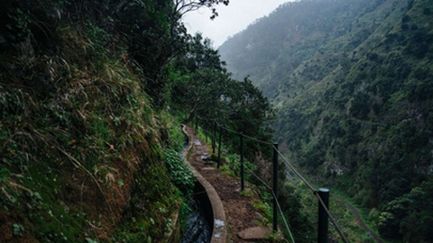 Resgate está em curso na Levada dos Moinhos.&nbsp;