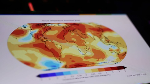 Foto&nbsp;Ralf Liebhold / Shutterstock.com