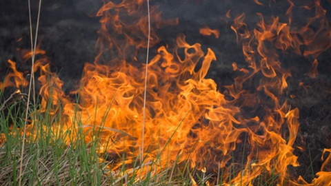 Foto ilustrativa/Shutterstock