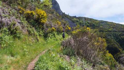 O percurso entre a Boca da Corrida e a Boca da Encumeada tem sido frequentemente afectado pelos incêndios, ao longo dos anos. A vegetação exótica tem tomado conta do terreno.&nbsp;