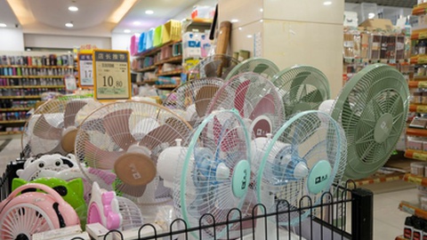 Foto&nbsp;Tada Images / Shutterstock.com