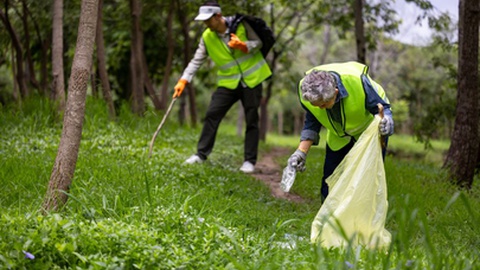 Foto Shutterstock