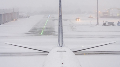 Foto ilustrativa/Venturelli Luca / Shutterstock.com