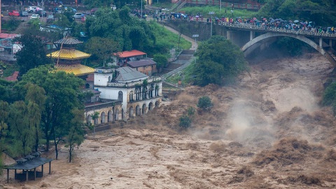 Foto&nbsp;Rojen's Collection / Shutterstock.com