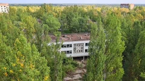 Foto&nbsp;Schager / Shutterstock.com