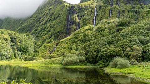 O&nbsp;Poço da Ribeira do Ferreiro fica na ilha das Flores.&nbsp;