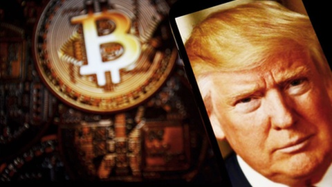 Foto&nbsp;miss.cabul / Shutterstock.com