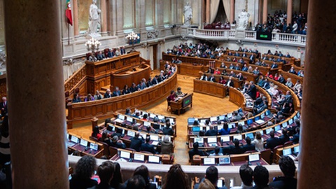 Foto&nbsp;studio f22 ricardo rocha / Shutterstock.com