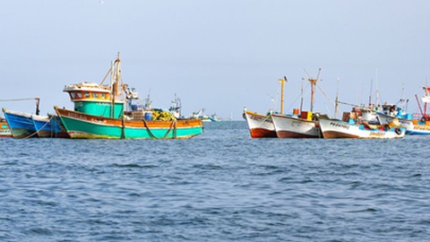 Foto&nbsp;Eduardo BR / Shutterstock.com