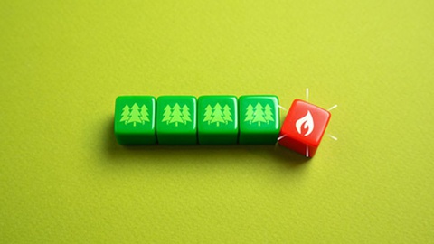 Foto Shutterstock