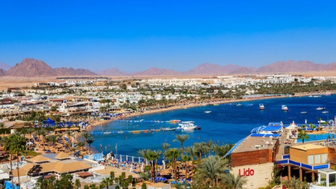 Foto&nbsp; Olha Solodenko / Shutterstock.com