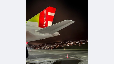 Foto ilustrativa/Kittyfly/Shutterstock.com