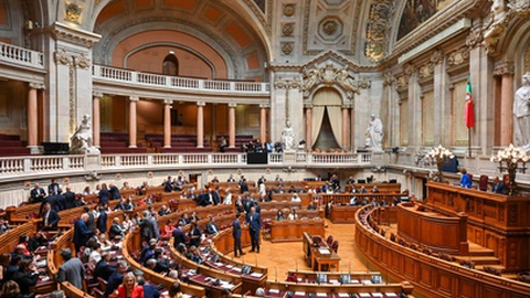 Foto studio f22 ricardo rocha / Shutterstock.com
