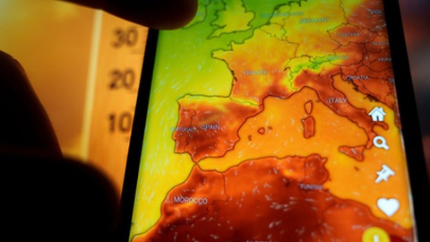 Foto&nbsp;Rokas Tenys / Shutterstock.com