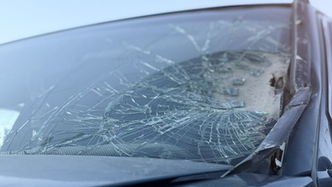 Foto ilustrativa/Shutterstock