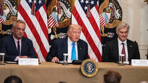 Foto&nbsp;DT phots1 / Shutterstock.com