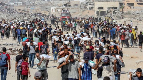 Foto&nbsp;Anas-Mohammed / Shutterstock.com