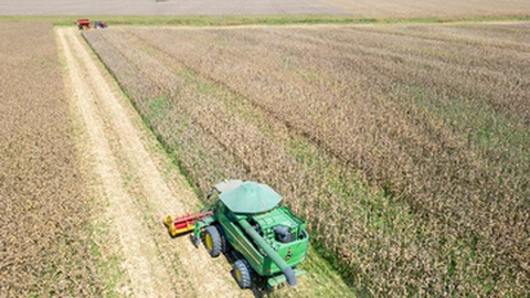 Foto&nbsp;Tarcisio Schnaider / Shutterstock.com