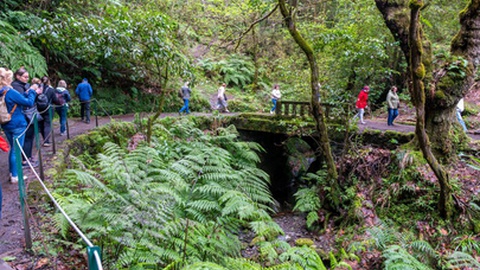 O percurso até ao Miradouro dos Balcões é um dos mais procurados pelos turistas que visitam a Madeira.&nbsp;