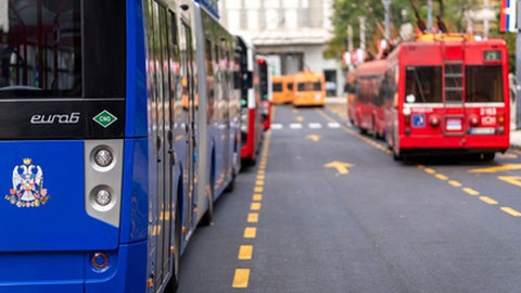 Foto Studio Aurelia / Shutterstock.com