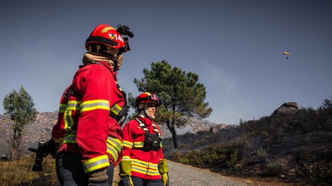 Foto&nbsp; Bruno Ismael Silva Alves / Shutterstock.com
