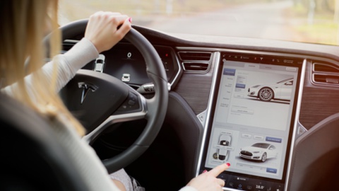 Foto&nbsp;Kaspars Grinvalds/Shutterstock.com