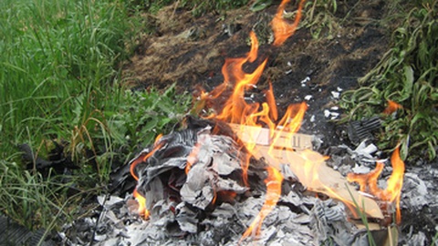 Foto ilustrativa/Shutterstock