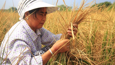 Foto&nbsp;humphery/Shutterstock.com