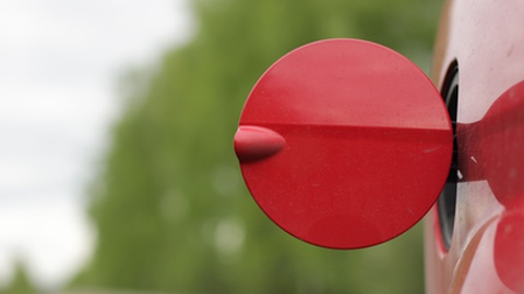 Foto Shutterstock