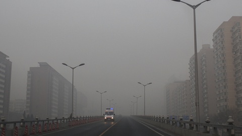 Foto&nbsp;wanghanan/Shutterstock.com