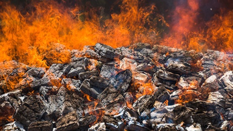 Foto&nbsp;chatchai juntanakonsakul / Shutterstock.com