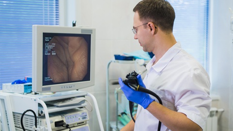 Foto Shutterstok/Roman Kosolapov