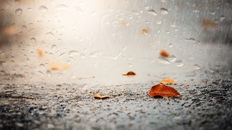 IPMA prevê chuva, em especial, nas vertentes norte e nas terras altas da Madeira&nbsp;