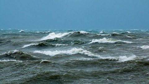 Foto Shutterstock/Sue Robinson